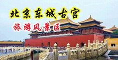 男男控射潮喷中国北京-东城古宫旅游风景区